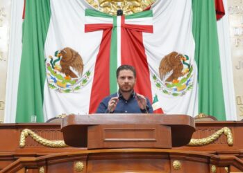 Talayero busca blindar legalmente a los animales ante la impunidad persistente