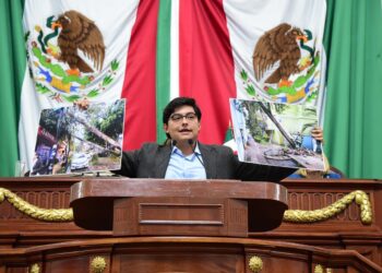 Urgen plan de emergencia para arbolado en Coyoacán