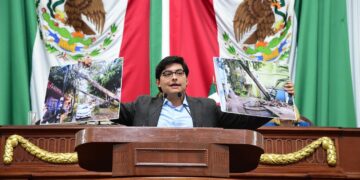 Urgen plan de emergencia para arbolado en Coyoacán