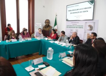 Especialistas advierten riesgos de prohibir vitrinas para venta de animales