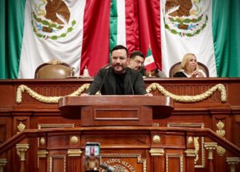 Árboles históricos tendrán protección legal en CDMX