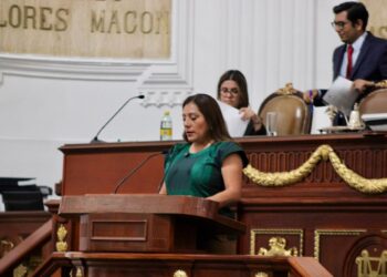 Diputada Xóchitl Bravo llama a actuar y no politizar ante afectados por lluvias