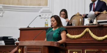 Diputada Xóchitl Bravo llama a actuar y no politizar ante afectados por lluvias