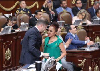 Seguridad preventiva y participación vecinal, apuesta del Partido Verde