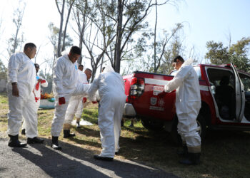Fiscalía capitalina reporta 385 identificaciones y 73 familias notificadas