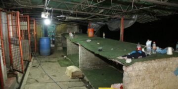 Desalojo de refugio y posible venta de predio: las dudas que rodean el “rescate” de perros en Cuajimalpa