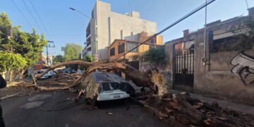 Sismo activa protocolos de emergencia en CDMX; se reportan heridos, cortes de luz y una persona fallecida